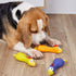 Hoiasem 3 PCS Latex Chicken Squeak Toy for Pets - Exciting Chew & Dental Care Fun - Perfect for Playful Molar Exercise