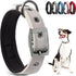 PetiFine Neoprene Padded Dog Collar, Heavy Duty Comfort Collar with Durable Metal Buckle for Small Medium Large Dogs