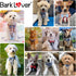 Small Puppy Harness with Bowtie, Adjustable Mesh Tuxedo Vest for Small Dog Kitten, Perfect for Party Wedding Holiday