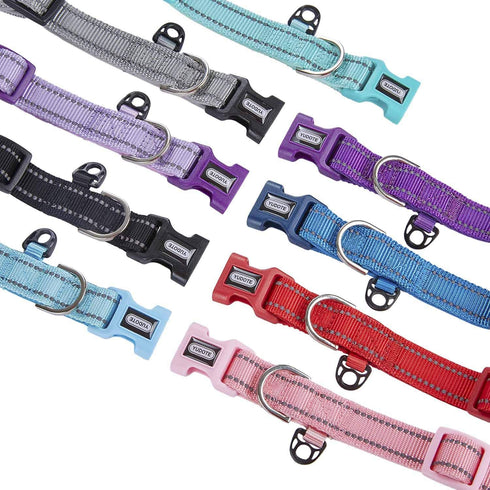 Reflective Nylon Dog Collar - Adjustable Neoprene Padding for Small Dogs (9.8"-15", Teal)