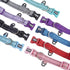 Reflective Nylon Dog Collar - Adjustable Neoprene Padding for Small Dogs (9.8"-15", Teal)