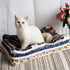 FJWYSANGU Pet Blanket, Premium Fluffy Flannel Cushion Soft and Warm Mat for Small Dogs Cats (Blue Stars)