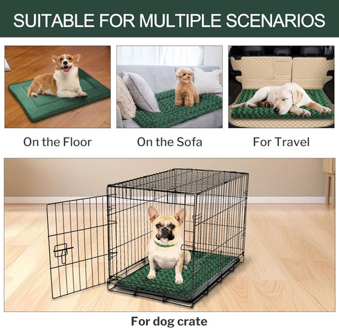 Wittop Pets,Cozy Dogs,30 20 inch,Green Washable Dog Bed Plush Orthopedic Outdoor Crate Mat with Non-Slip Bottom,Luxe