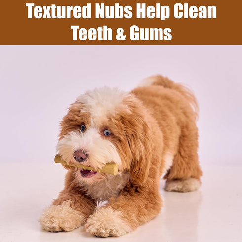 SPOT 60lbs, 5.25in, Bam-Bones Plus Bamboo Stick Bamboo Fiber & Nylon, Durable Long Lasting Dog Chew for Aggressive