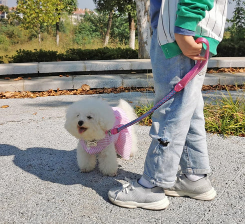 2/3/4/6/10 Foot Reflective Dog Leash - Strong Nylon Braided Dog Training Leash for Large Medium Small Dogs