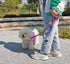 2/3/4/6/10 Foot Reflective Dog Leash - Strong Nylon Braided Dog Training Leash for Large Medium Small Dogs