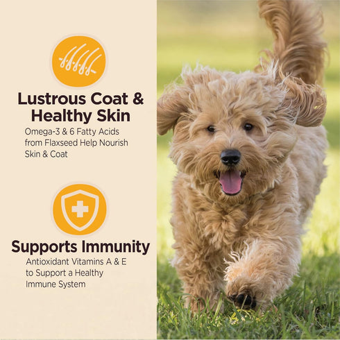 Wellness CORE Digestive Health Dry Puppy Food, Highly Digestible, Made in USA with Real Chicken, 4-Pound Bag