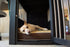New Age Pet Large Dog Bed Cushion with Removable Cover, 21.3 in L x 33.1 in W x 3.5 in Thick Cotton