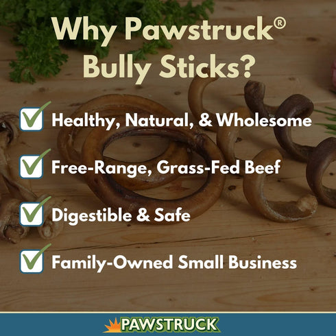 Pawstruck All-Natural 6" Bully Stick Springs for Dogs, 3 Pack - Rawhide-Free, 100% Beef Chew Bones
