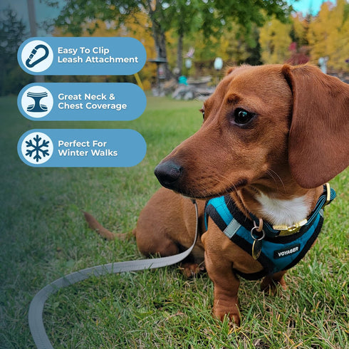 Voyager Step-In Plush Dog Harness by Best Pet Supplies - Soft Vest Harness for Small & Medium Dogs (Turquoise Plush), S