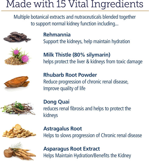 Rx Vitamins Rx Renal Canine Kidney Support for Dogs - Milk Thistle Extract, Green Tea, & Cordyceps Capsules, 120 ct