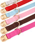 PET ARTIST Soft Leather Dog Collar, Heavy Duty Adjustable Nylon Collar with Quick Release Buckle, Blue, Neck Fit 9-14"