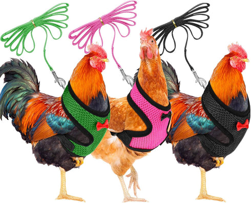 BOAO 3 Pieces Adjustable Chicken Harness and Leash Set, Spring Summer Breathable Comfortable Elastic Hen Vest (Black,