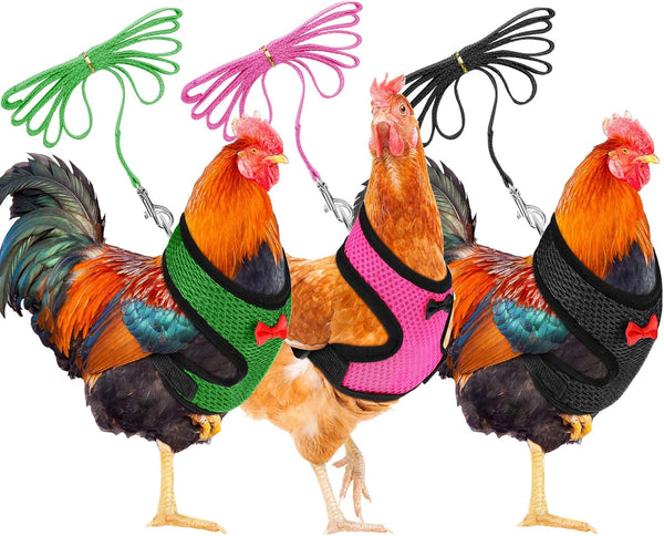 BOAO 3 Pieces Adjustable Chicken Harness and Leash Set, Spring Summer Breathable Comfortable Elastic Hen Vest (Black,