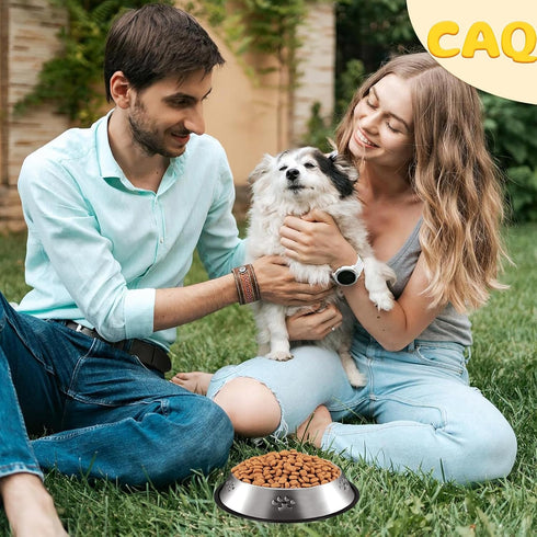 CAQ Dog Cat Bowls Stainless Steel, Small Food Water Bowl Set for Indoor Pets, Non-Slip Removable Rubber Base, Set of 2