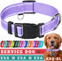 TECEUM Reflective Pet Collar – Lavender XL, Basic Nylon Dog Collar with Quick Release Buckle for Dogs & Cats