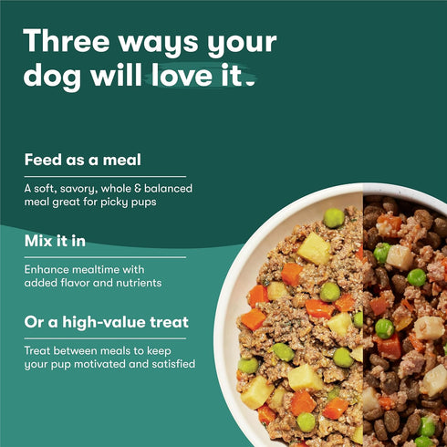 9oz, 6 Pack Jinx Beef & Chicken Grain Free Wet Dog Food Pouches, Meal or Dog Food Topper Mix-in, Made with Real Beef