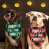 STMK Holiday Plaid Dog Bandanas for Halloween Thanksgiving, Daddy's Little Turkey & Mama's Little Pumpkin Scarf for