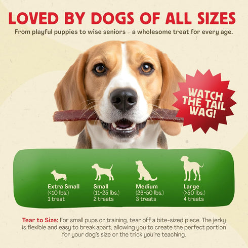 2lb Chewmasters Organic Turkey Jerky with Chicken Dog Treat for All Life Stages - Fresh and Healthy Turkey Dog Treats