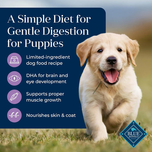 Blue Buffalo Basics Dry Dog Food for Puppies - Skin & Stomach Care, Limited Ingredient Diet for Dogs - Turkey Recipe,