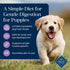 Blue Buffalo Basics Dry Dog Food for Puppies - Skin & Stomach Care, Limited Ingredient Diet for Dogs - Turkey Recipe,