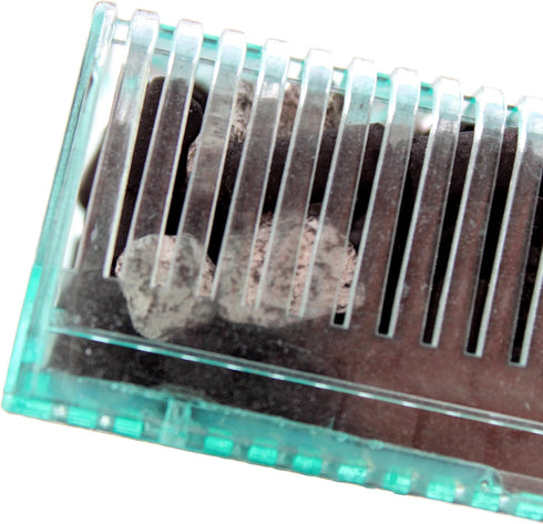 Penn-Plax Small World Aquarium Filter, Comes with Disposable Media Cartridge for Freshwater and Saltwater