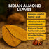 6 Inch Pack 10 Hermit Crab Tank Accessories Indian Almond Leaves of Natural Catappa Leaves for Aquarium & Reptile Tanks