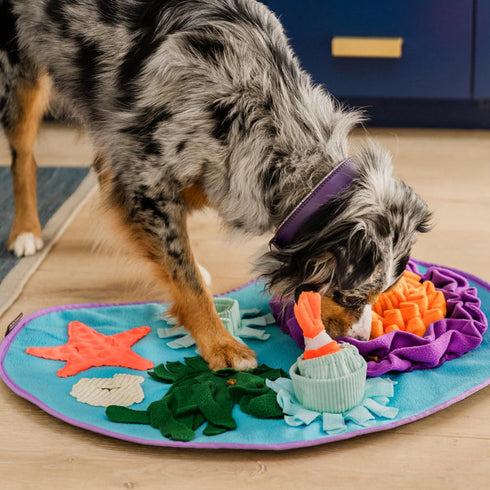 P.L.A.Y. Cute Snuffle Mat for Dogs - Ocean Themed Interactive Food & Treat Mat for Puppies Dogs - Enrichment Toy, Great