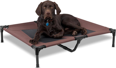 Internet's Best BIRDROCK Home Dog Cot - Elevated Dog Bed, 36 x 30, Cool Breathable Mesh, Medium, Brown