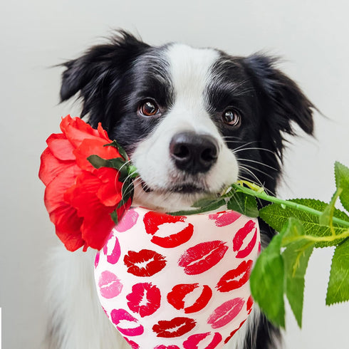 Romantic Heart Pattern Bandana for Dogs and Cats - Perfect for Valentine's Day