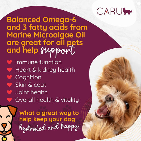 12 oz Pack 4 Caru Classics Beef Stew for Dogs - Healthy Wet Dog Food or Food Topper - Balanced Omega Blend - Cartons