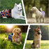 5 Pack Washable Female Dog Diapers,Reusable Diaper for Doggie,Highly Absorbent Dog Diaper,Adjustable Leakproof Puppy