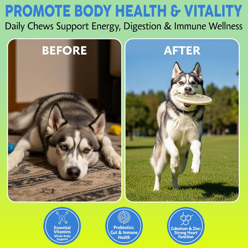 120 Asher House Wellness Dog Multivitamin Chews - Dog Vitamins and Supplements, Soft Chew for Pet Dogs with Probiotics