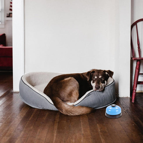 BESPORTBLE Dog Training Bell and Pet Doorbell for Potty Training Blue Paw Print Press Bell for Dogs and Cats for Puppy