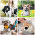 Reginary 100 Pcs Bulk Dog Collar Flowers, Adjustable Nylon Multi Color Floral Collars for Small Pets
