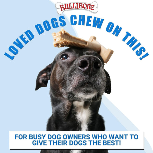 Bullibone SuperBrush: Dog Teeth Cleaning Brushing Toothbrush Stick, Long Lasting Nylon Chew Toy