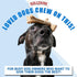 Bullibone SuperBrush: Dog Teeth Cleaning Brushing Toothbrush Stick, Long Lasting Nylon Chew Toy