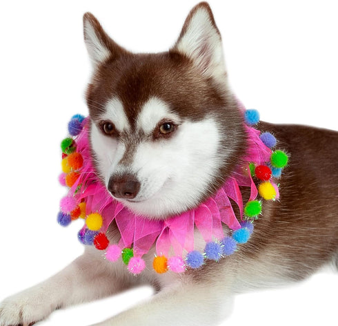 Midlee Pink Birthday Pom Pom Dog Collar, Medium Size