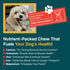 Elk Antler for Small Dogs - Grade A Long Lasting Chew for Aggressive Chewers, Real Organic Treats & Toys