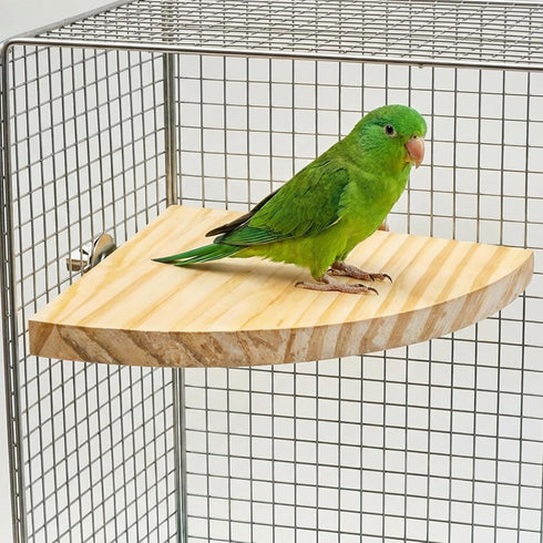Asofelk 17CM Natural Wooden Bird Perch Platform - Flat Bird Cage Stand for Parrots, Budgies & Cockatiels - Resting