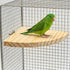 Asofelk 17CM Natural Wooden Bird Perch Platform - Flat Bird Cage Stand for Parrots, Budgies & Cockatiels - Resting