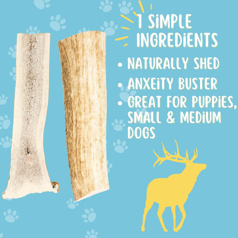 Split Elk Antlers for Small Dogs | Naturally Shed, Long-Lasting Chews for Dental Health - Made in The USA