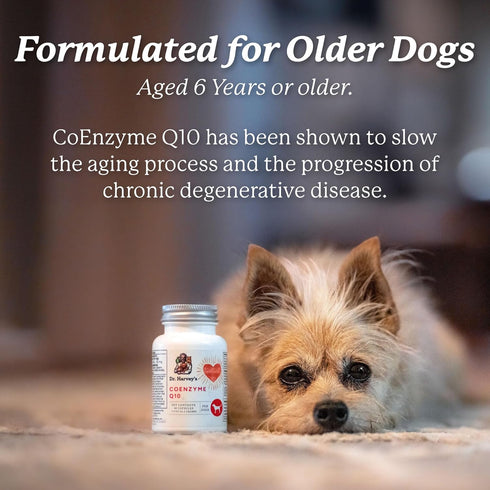 Dr. Harvey's Coenzyme Q10, Heart & Cardiovascular Support Supplements for Dogs, 60 Capsules