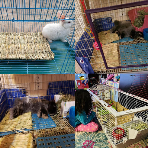 Rabbits,11.0"x8.3" Toy(4 PINVNBY Straw Mats for Natural Bunny Grass Mat,Handwoven Rabbit Hay Mat Small Animal Bedding