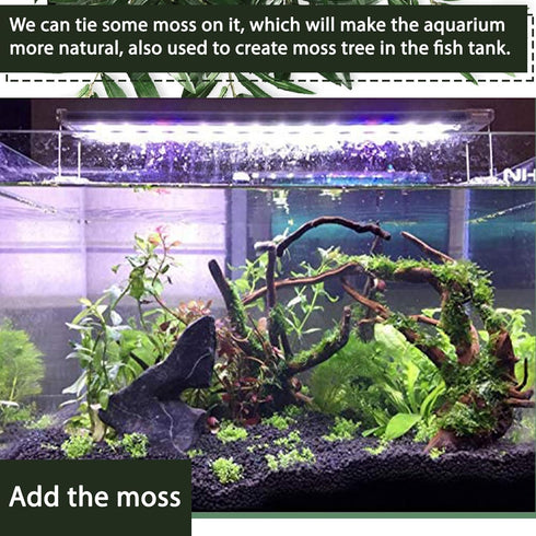 Tfwadmx Aquarium Driftwood Decorations, Natural Wood Branches 6-10" Fish Tank Decor (4 Pcs)