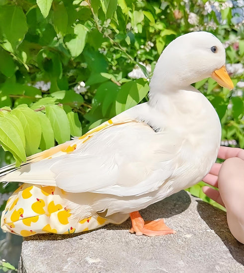 Magnoloran 2 Pack Chicken Diapers for Hens, Roosters, Diapers for Ducks, Ducklings, Reusable Pet Diaper with Bow Ties