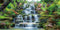 AWERT 48x20 inches Waterfall Aquarium Background | Forest Park Green Tropical Plants Fish Tank Background