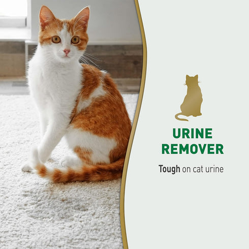 Nature's Miracle Cat Urine Remover - 24 Ounces Enzymatic Formula for Effective Cleaning