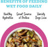 6oz (Pack 8) Weruva Awesome Shiny Wet Dog Food, Beef & Brown Rice, Can