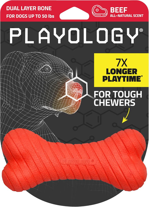 Playology Dog Toys, Dual Layer Bone Chew Toy for Dogs, Medium Beef Scented, Easy to Clean
